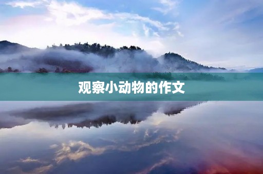 观察小动物的作文 观察小动物的作文