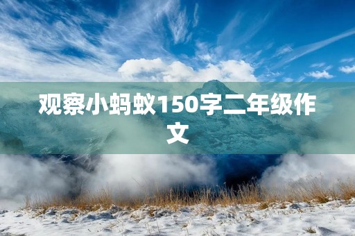 观察小蚂蚁150字二年级作文