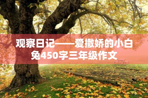 观察日记——爱撒娇的小白兔450字三年级作文 观察日记——爱撒娇的小白兔450字三年级作文