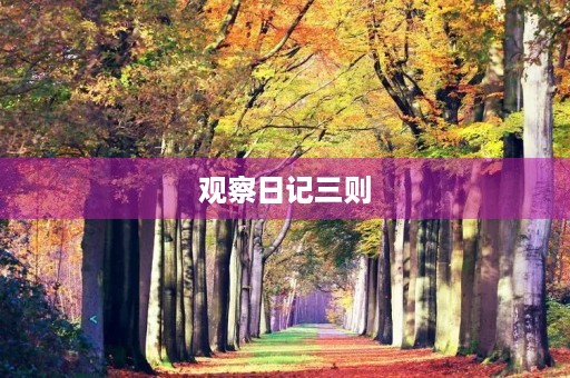 观察日记三则