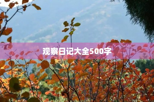 观察日记大全500字 观察日记大全500字
