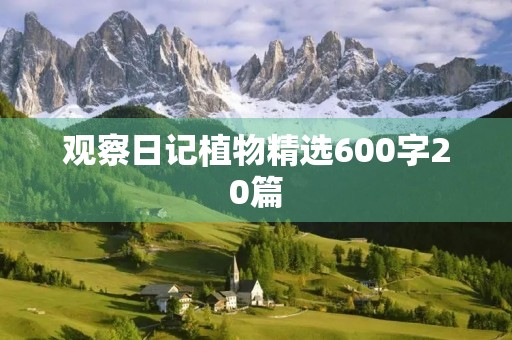 观察日记植物精选600字20篇 观察日记植物精选600字20篇