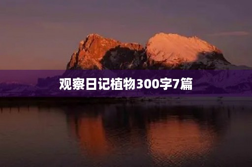 观察日记植物300字7篇 观察日记植物300字7篇