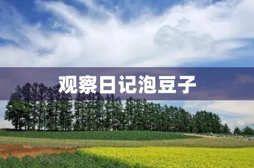 观察日记泡豆子