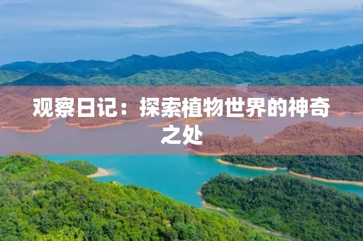 观察日记：探索植物世界的神奇之处