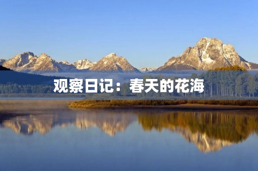 观察日记：春天的花海