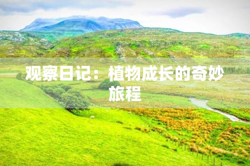 观察日记：植物成长的奇妙旅程