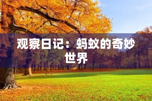 观察日记：蚂蚁的奇妙世界