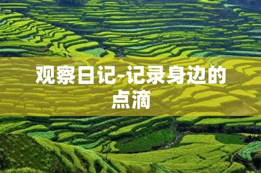 观察日记-记录身边的点滴 观察日记-记录身边的点滴