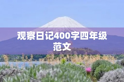 观察日记400字四年级范文