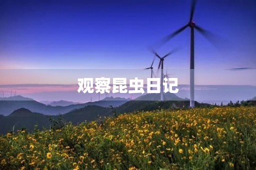 观察昆虫日记 观察昆虫日记