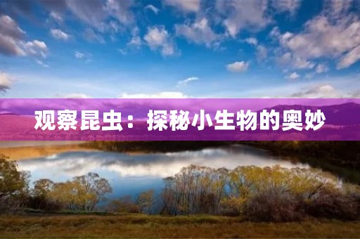 观察昆虫：探秘小生物的奥妙