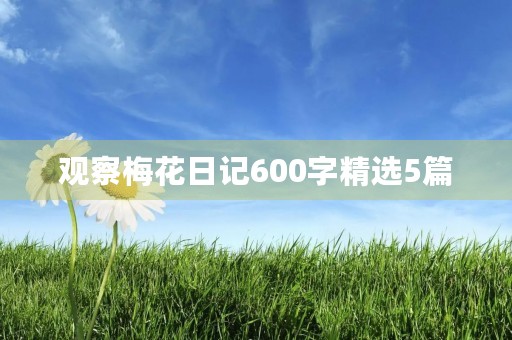 观察梅花日记600字精选5篇 观察梅花日记600字精选5篇