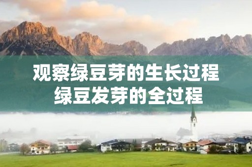 观察绿豆芽的生长过程 绿豆发芽的全过程(详细)