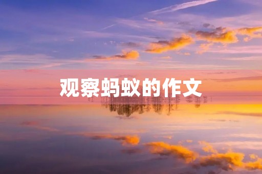 观察蚂蚁的作文
