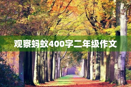观察蚂蚁400字二年级作文