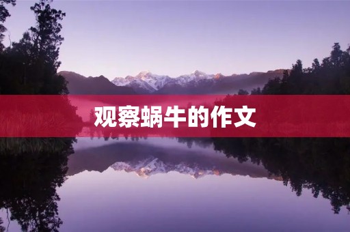 观察蜗牛的作文 观察蜗牛的作文