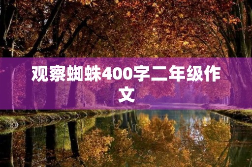 观察蜘蛛400字二年级作文