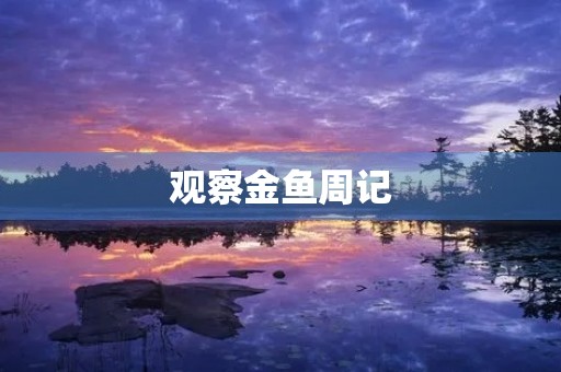 观察金鱼周记