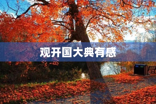 观开国大典有感