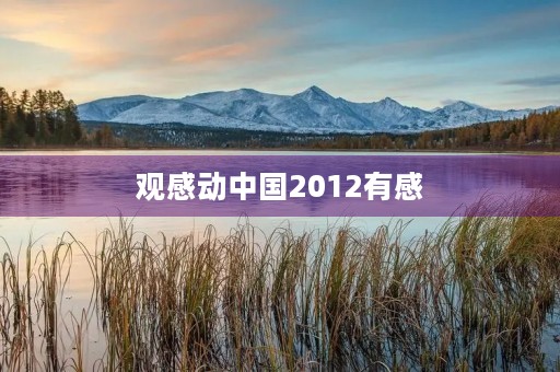 观感动中国2012有感 观感动中国2012有感