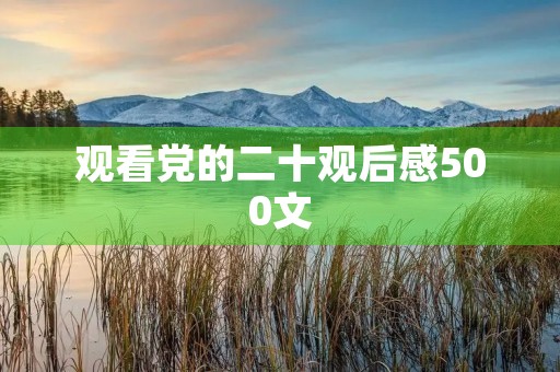 观看党的二十观后感500文