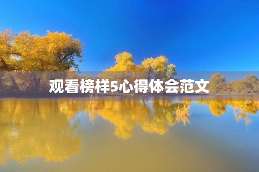 观看榜样5心得体会范文