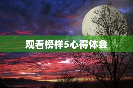 观看榜样5心得体会 观看榜样5心得体会