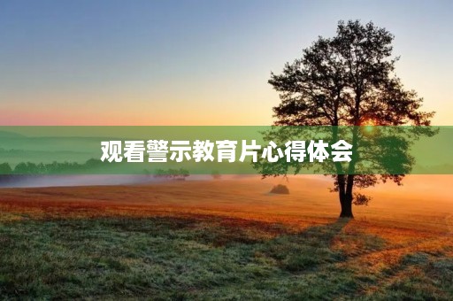 观看警示教育片心得体会