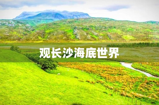 观长沙海底世界 观长沙海底世界