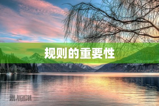 规则的重要性