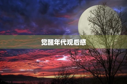 觉醒年代观后感