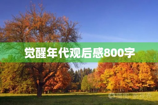 觉醒年代观后感800字