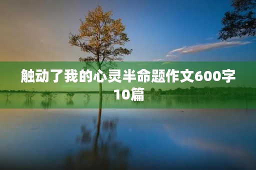 触动了我的心灵半命题作文600字10篇