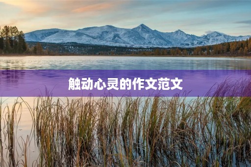 触动心灵的作文范文