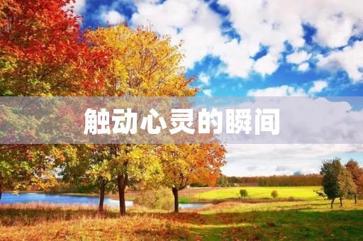 触动心灵的瞬间 触动心灵的瞬间