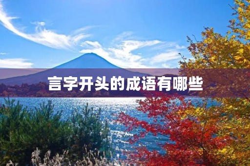 言字开头的成语有哪些