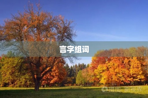 言字组词(言字组词) 言字组词(言字组词)