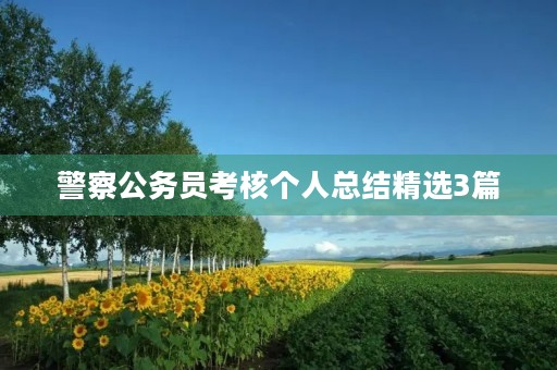 警察公务员考核个人总结精选3篇