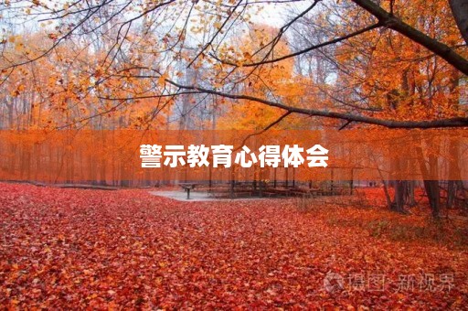 警示教育心得体会
