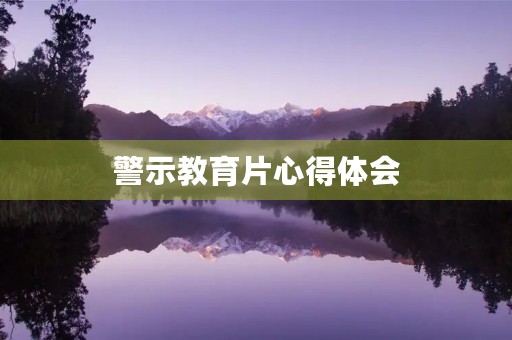 警示教育片心得体会