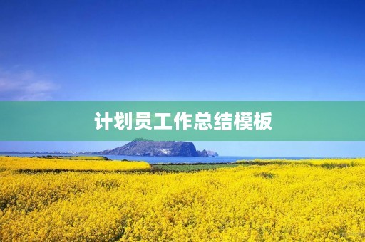 计划员工作总结模板