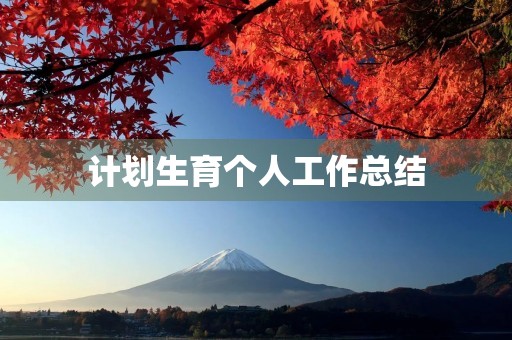 计划生育个人工作总结