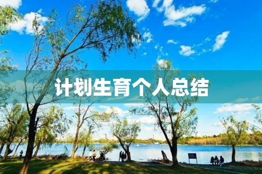 计划生育个人总结
