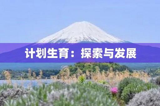 计划生育:探索与发展 计划生育:探索与发展