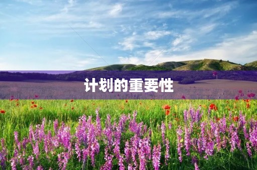 计划的重要性 计划的重要性