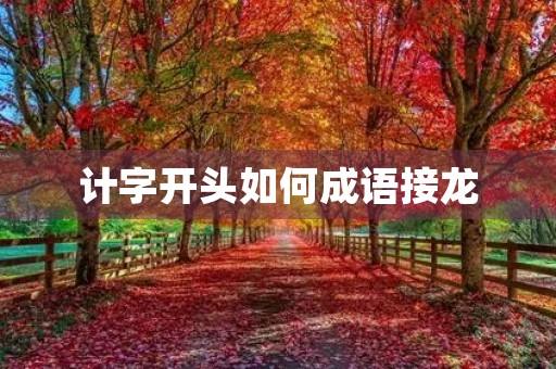 计字开头如何成语接龙