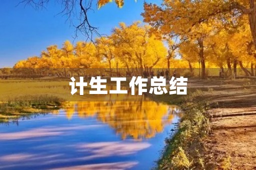 计生工作总结