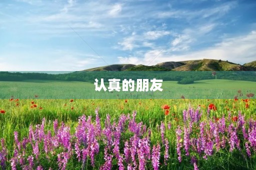 认真的朋友 认真的朋友
