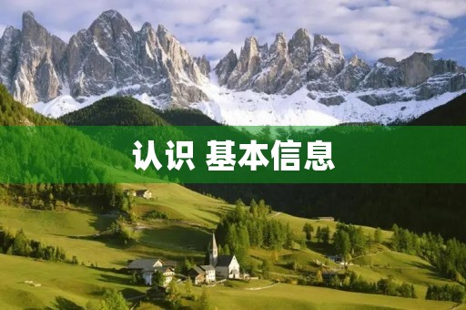 认识 基本信息(拼音、读音等)(认识的拼音) 认识 基本信息(拼音、读音等)(认识的拼音)